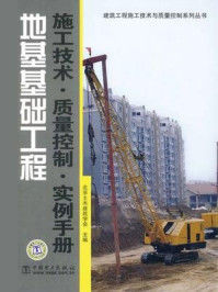 地基与基础工程 从技术到质量的系统实践指南