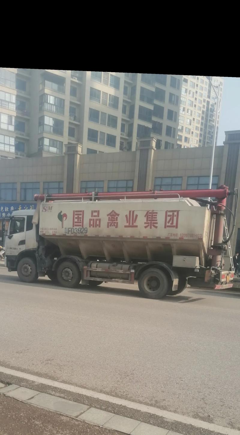 断桩处理,路桥基桩,桩基工程,桩基检测,地基基础,基础施工